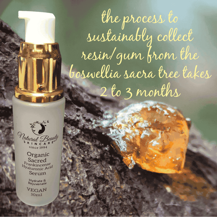 Organic Sacred Frankincense Hyaluronic Acid Serum VEGAN 99% Natural - Natural Beauty Skincare® - Nature's Creations - Shop Online