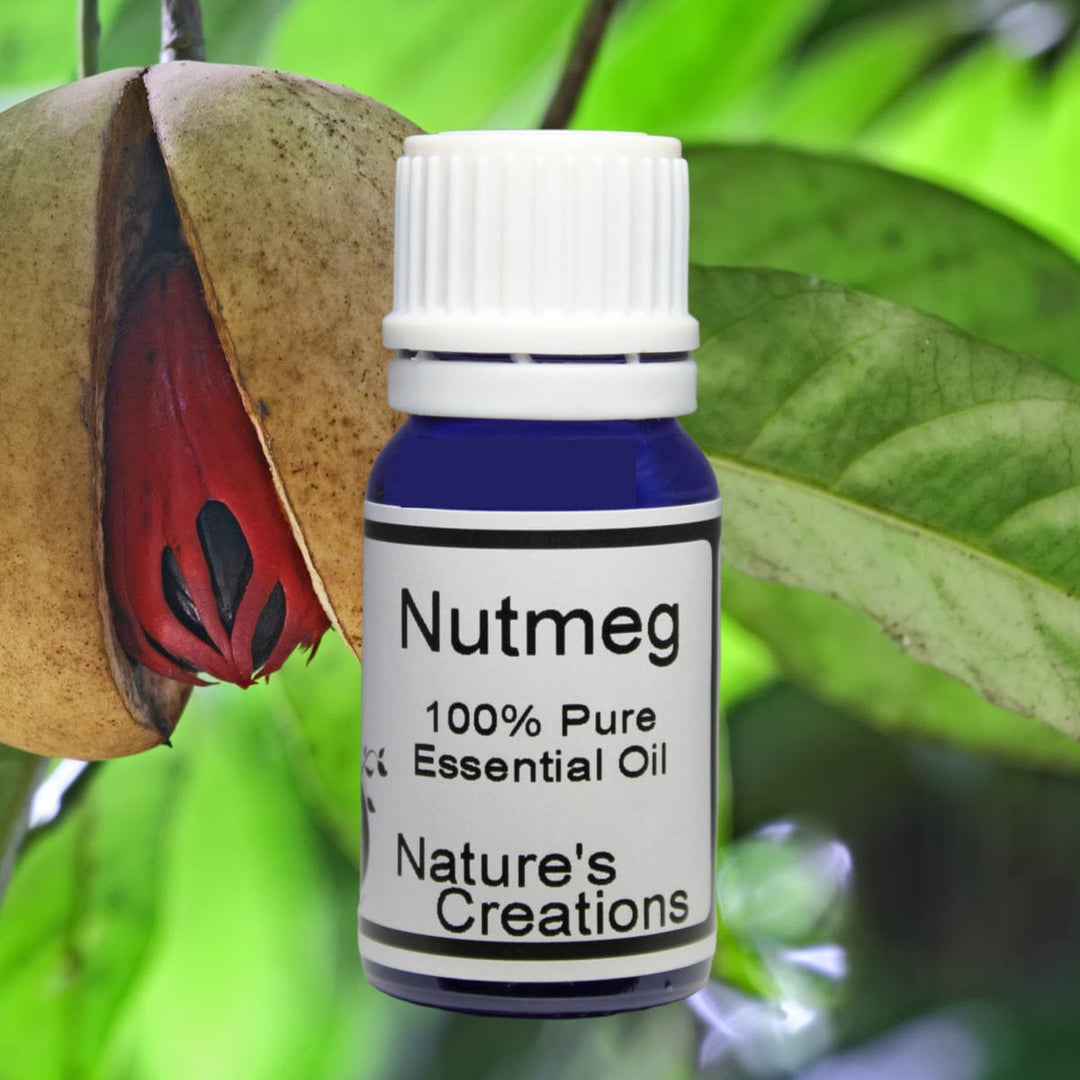 Nutmeg - Natural Beauty Skincare® - Nature's Creations - Shop Online