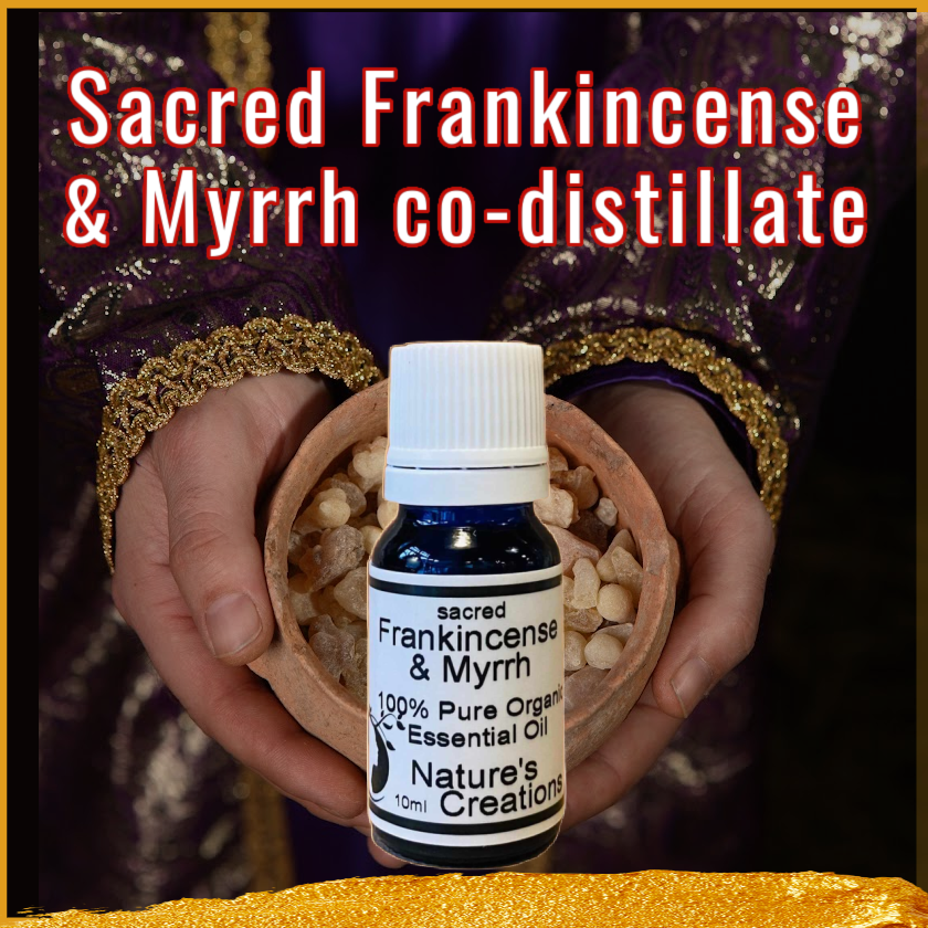 Organic Sacred Frankincense & Myrrh Co-Distillate