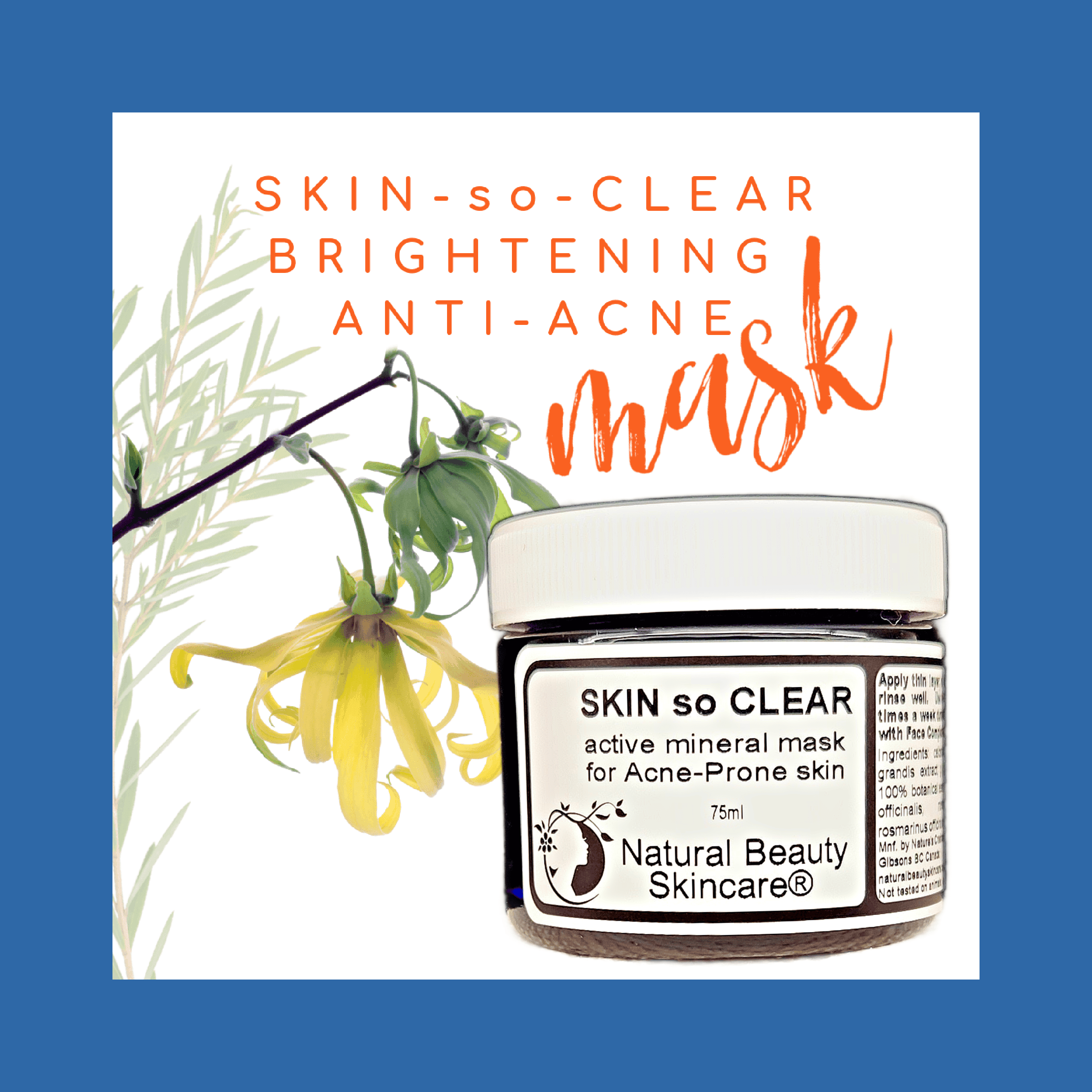 Skin-so-CLEAR™ Mineral Mask