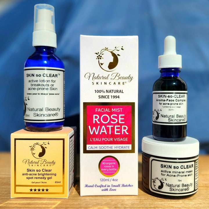 The Skin-so-Clear Starter Set