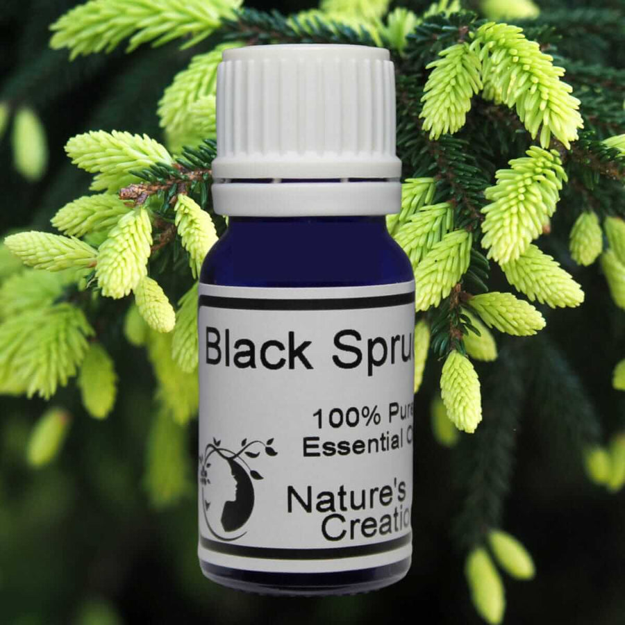 Black Spruce - Natural Beauty Skincare® - Nature's Creations - Shop Online