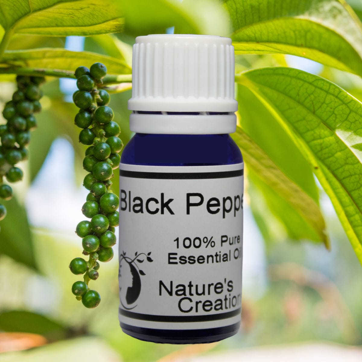 Black Pepper Essential Oil - Natural Beauty Skincare® - Nature's Creations - Shop Online