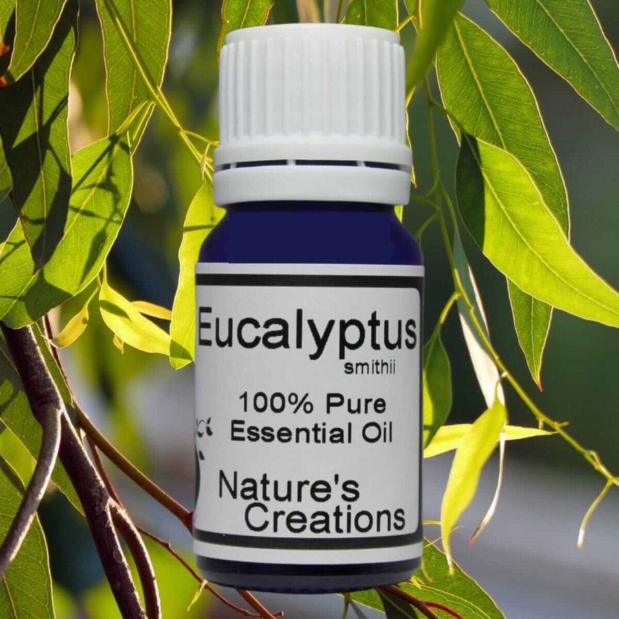 Eucalyptus Smithii - Natural Beauty Skincare® - Nature's Creations - Shop Online