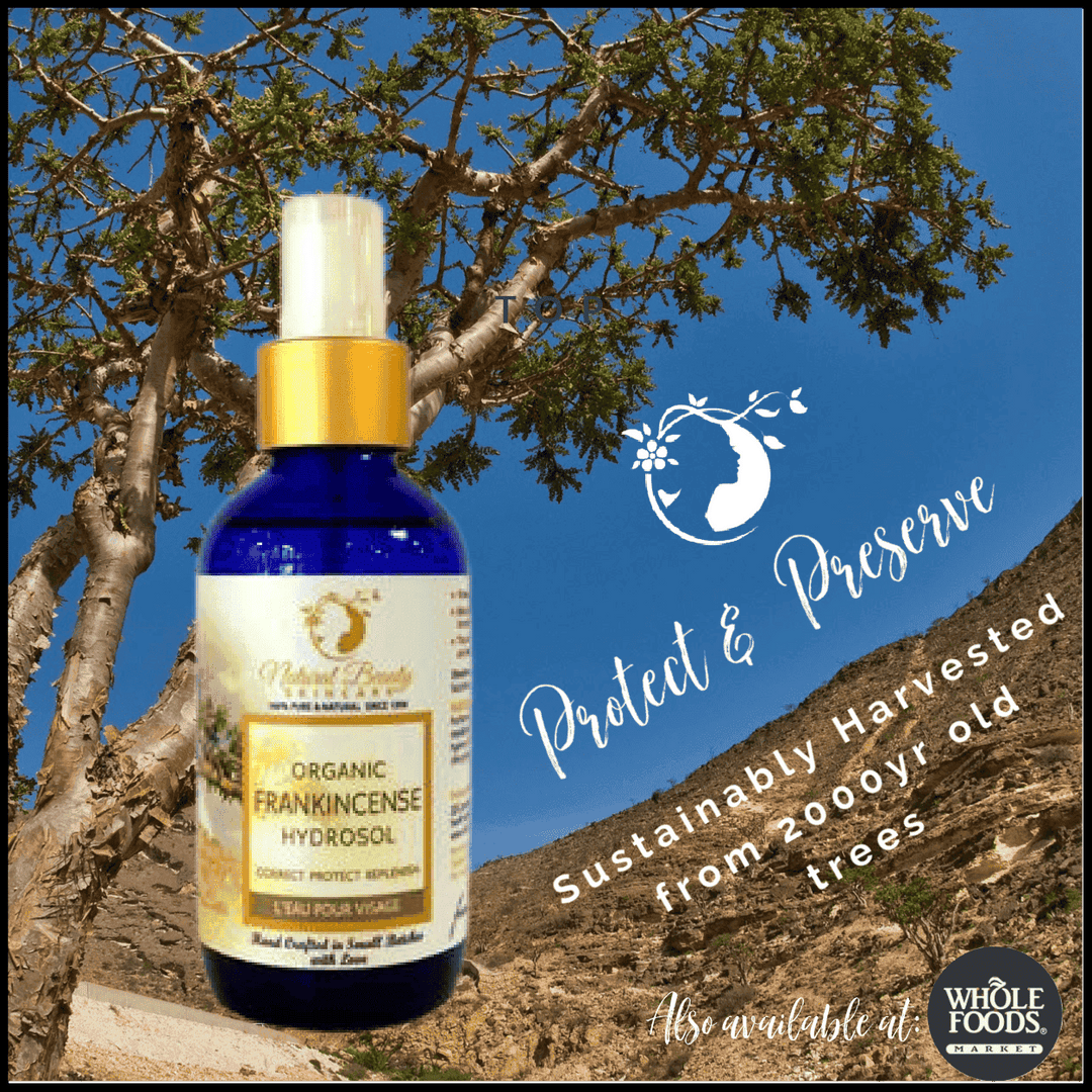 Organic Sacred Frankincense Hydrosol - Natural Beauty Skincare® - Nature's Creations - Shop Online