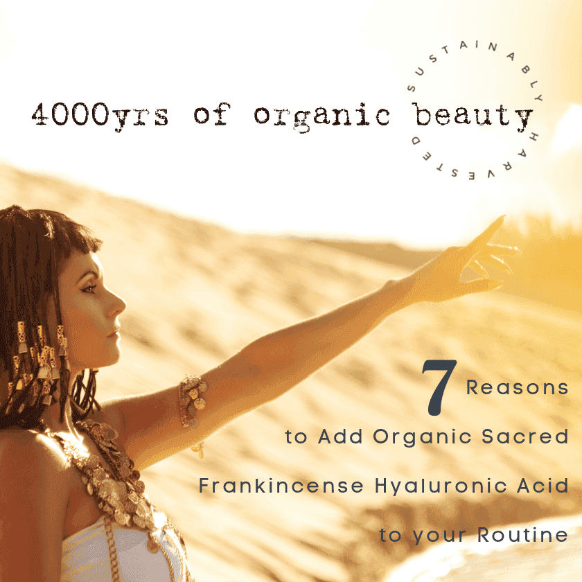 Organic Sacred Frankincense Hyaluronic Acid Serum VEGAN 99% Natural - Natural Beauty Skincare® - Nature's Creations - Shop Online