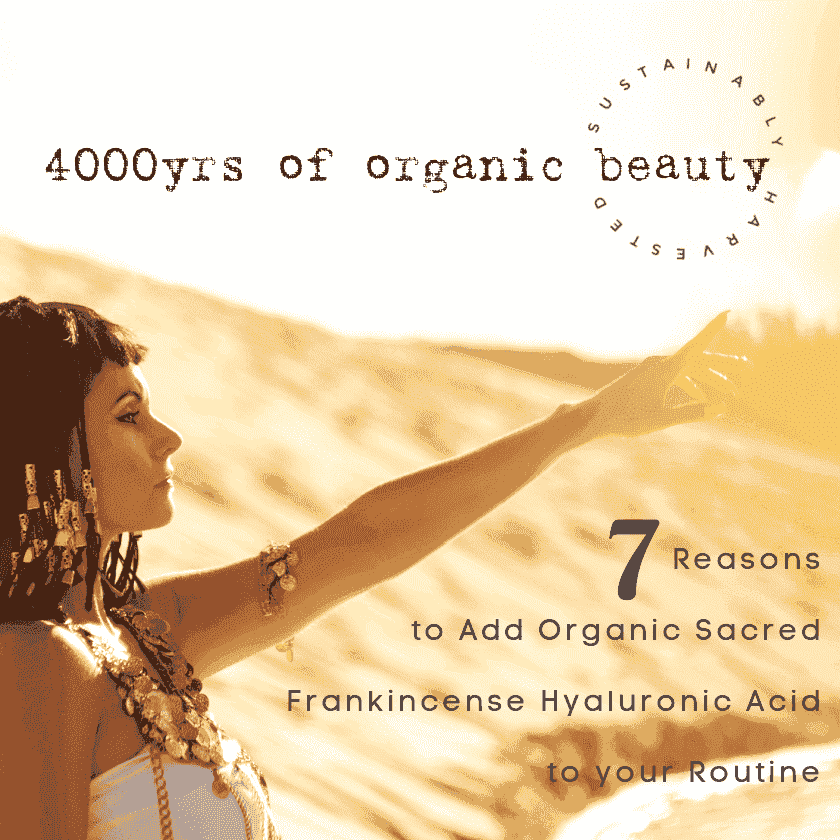 Organic Sacred Frankincense Hyaluronic Acid Serum