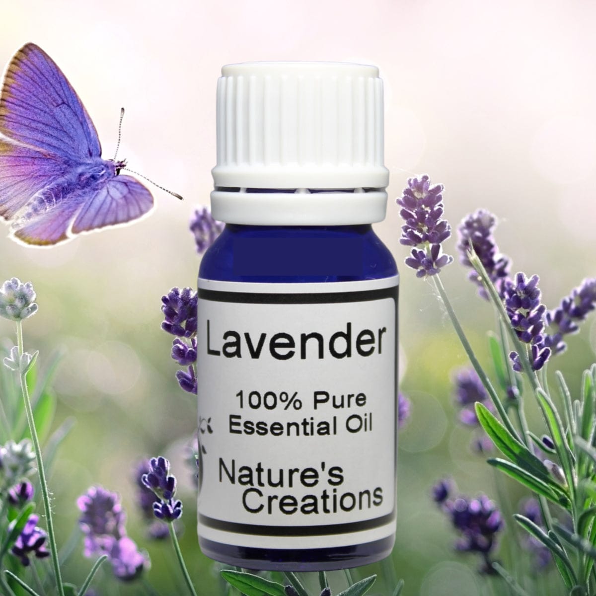 Organic Lavender Essential Oil