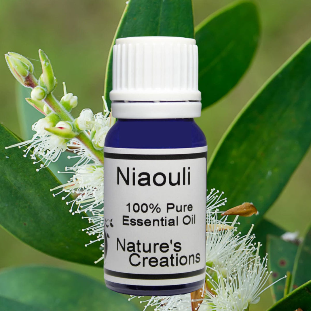 Niaouli - Natural Beauty Skincare® - Nature's Creations - Shop Online