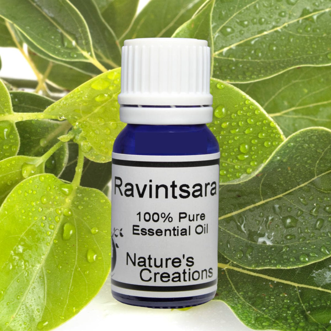 Ravintsara Essential Oil - Natural Beauty Skincare® - Nature's Creations - Shop Online