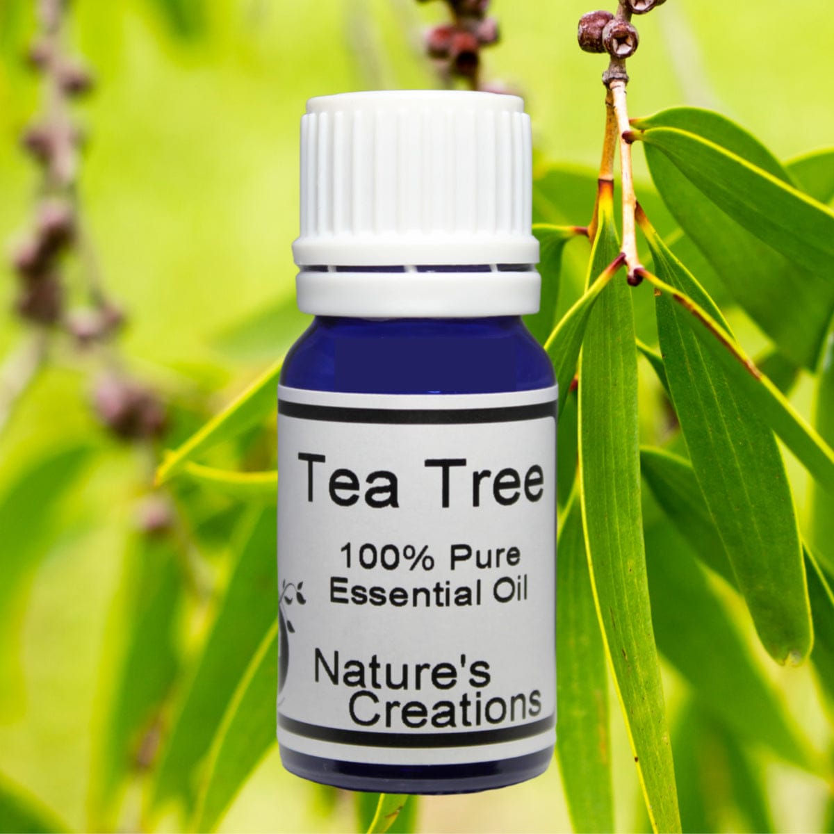 Tea Tree Essential Oil - Natural Beauty Skincare® - Nature's Creations - Shop Online