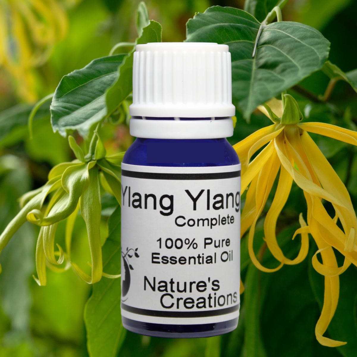 Ylang Ylang Essential Oil - Natural Beauty Skincare® - Nature's Creations - Shop Online