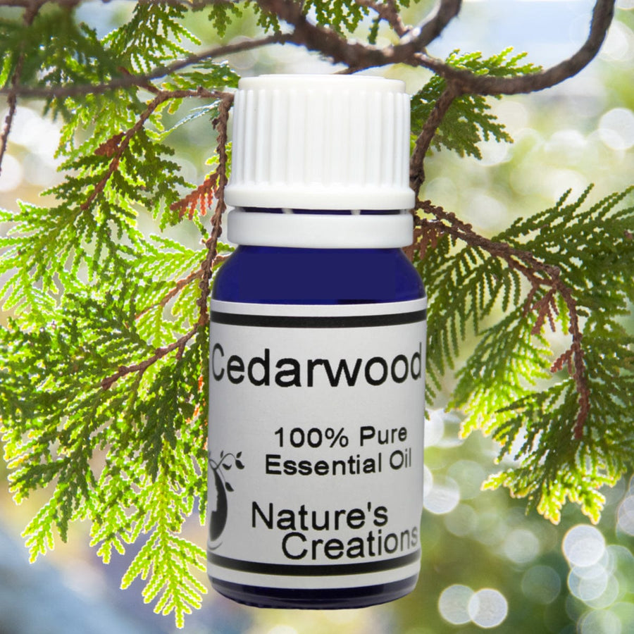 Cedarwood Essential Oil - - Natural Beauty Skincare® - Nature's Creations - Shop Online