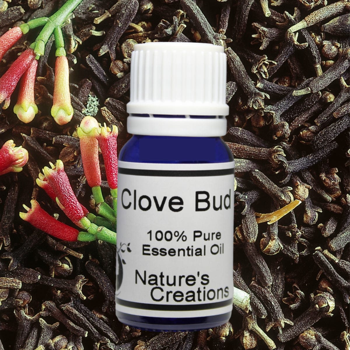 Clove Bud Essential Oil 10ml - Natural Beauty Skincare® - Nature's Creations - Shop Online