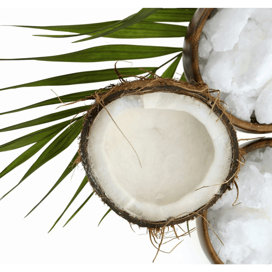 Organic Fractionated Coconut Oil - Natural Beauty Skincare® - Nature's Creations - Shop Online