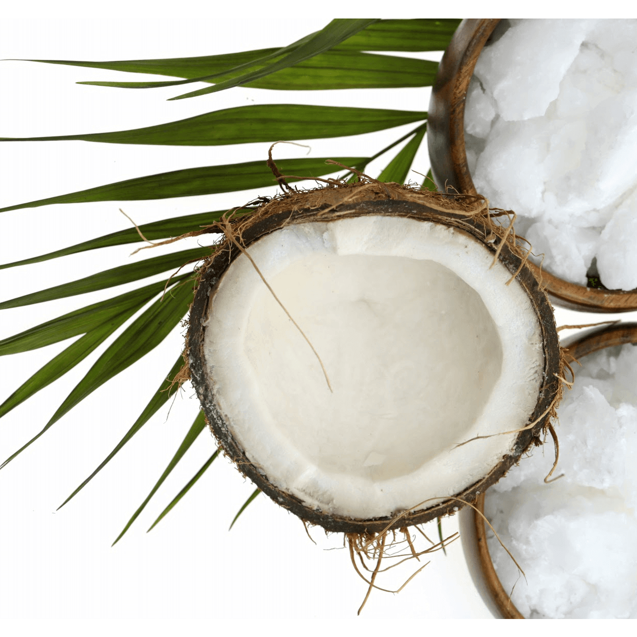 Organic Fractionated Coconut Oil - Natural Beauty Skincare® - Nature's Creations - Shop Online