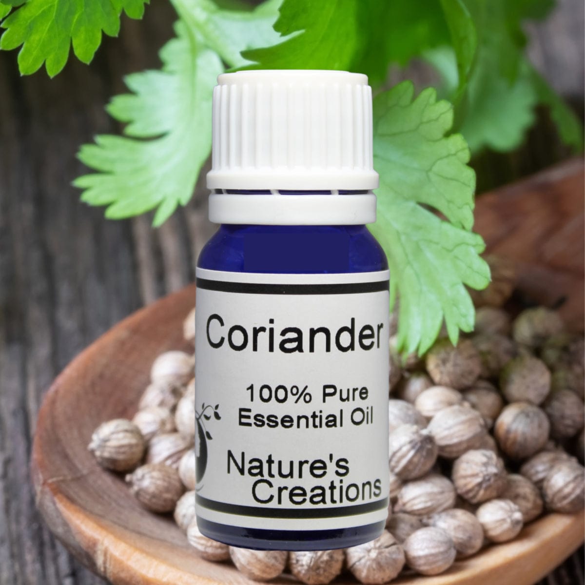 Coriander Essential Oil 10ml - Natural Beauty Skincare® - Nature's Creations - Shop Online