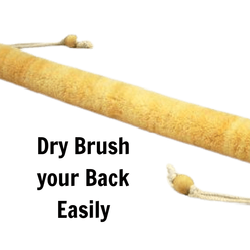 Dry Brushes - Natural Beauty Skincare® - Nature's Creations - Shop Online