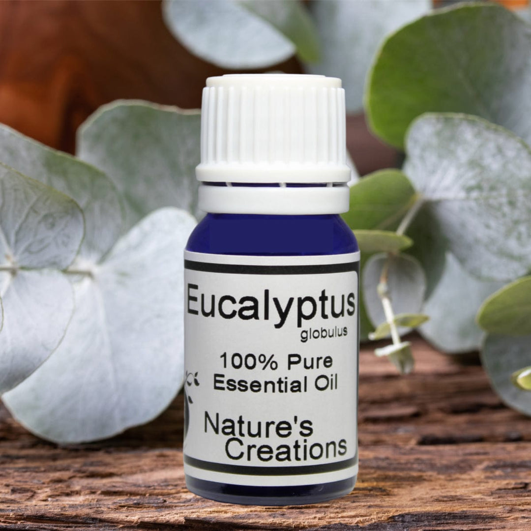 Eucalyptus Essential Oil - Natural Beauty Skincare® - Nature's Creations - Shop Online