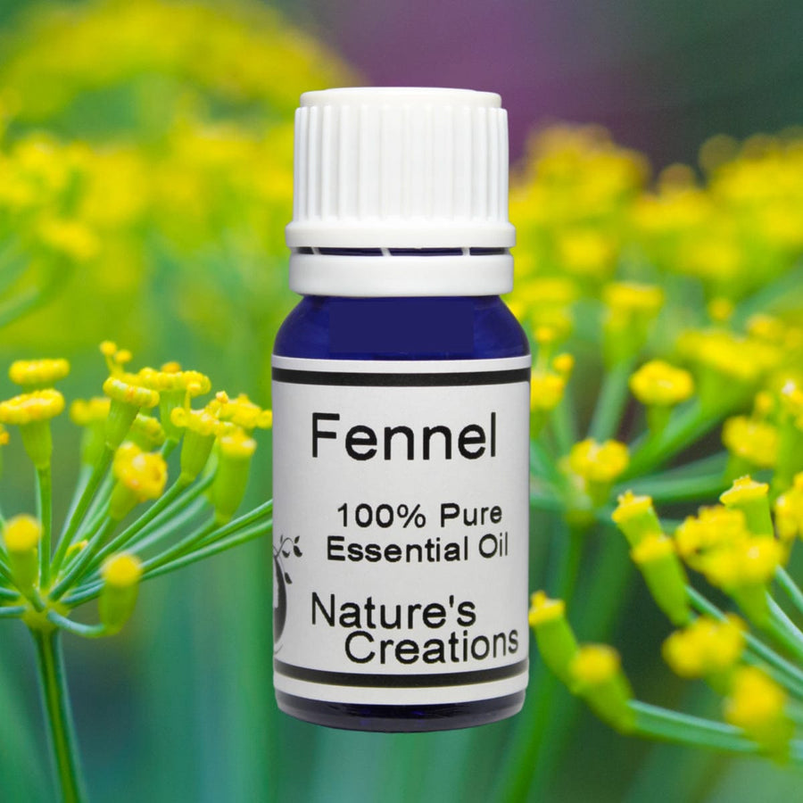 Sweet Fennel Essential Oil 10ml - Natural Beauty Skincare® - Nature's Creations - Shop Online