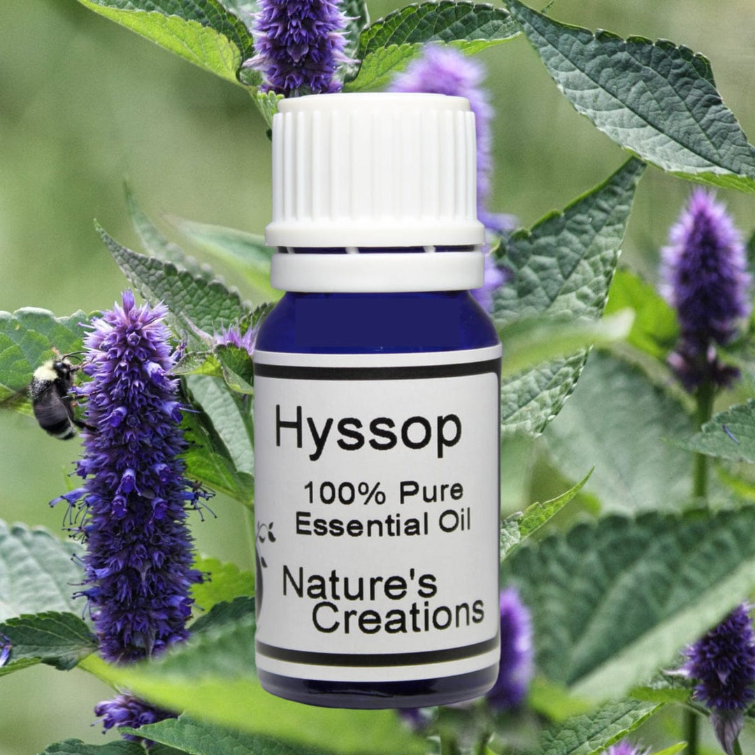 Hyssop Essential Oil 10ml - Natural Beauty Skincare® - Nature's Creations - Shop Online