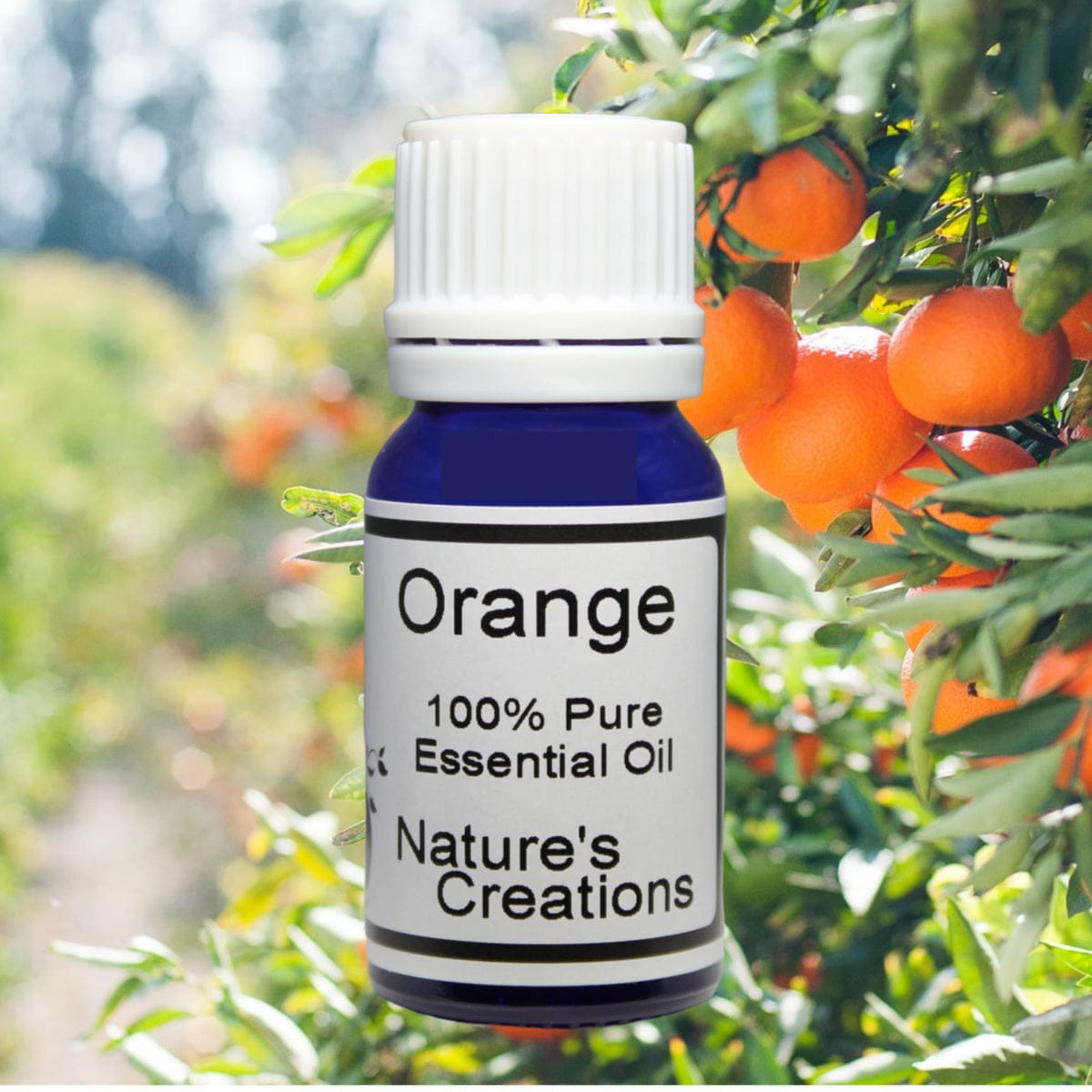 Orange, Sweet - Natural Beauty Skincare® - Nature's Creations - Shop Online