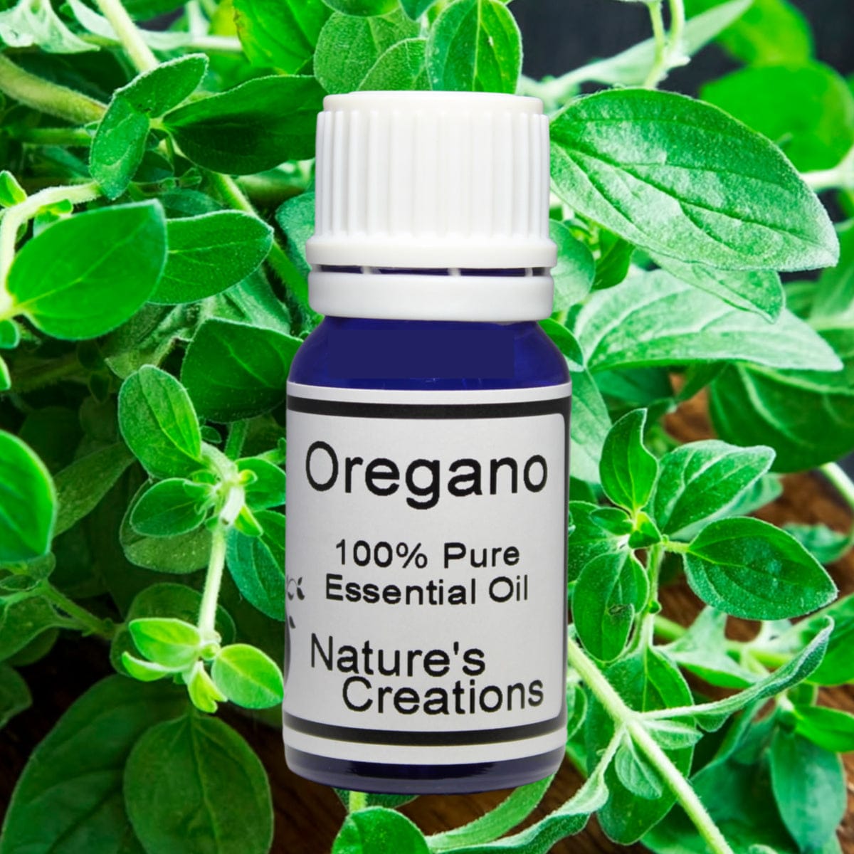 Oregano Essential Oil - Natural Beauty Skincare® - Nature's Creations - Shop Online