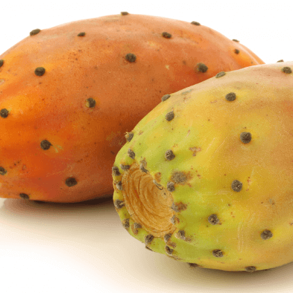 Organic Prickly Pear - Natural Beauty Skincare® - Nature's Creations - Shop Online