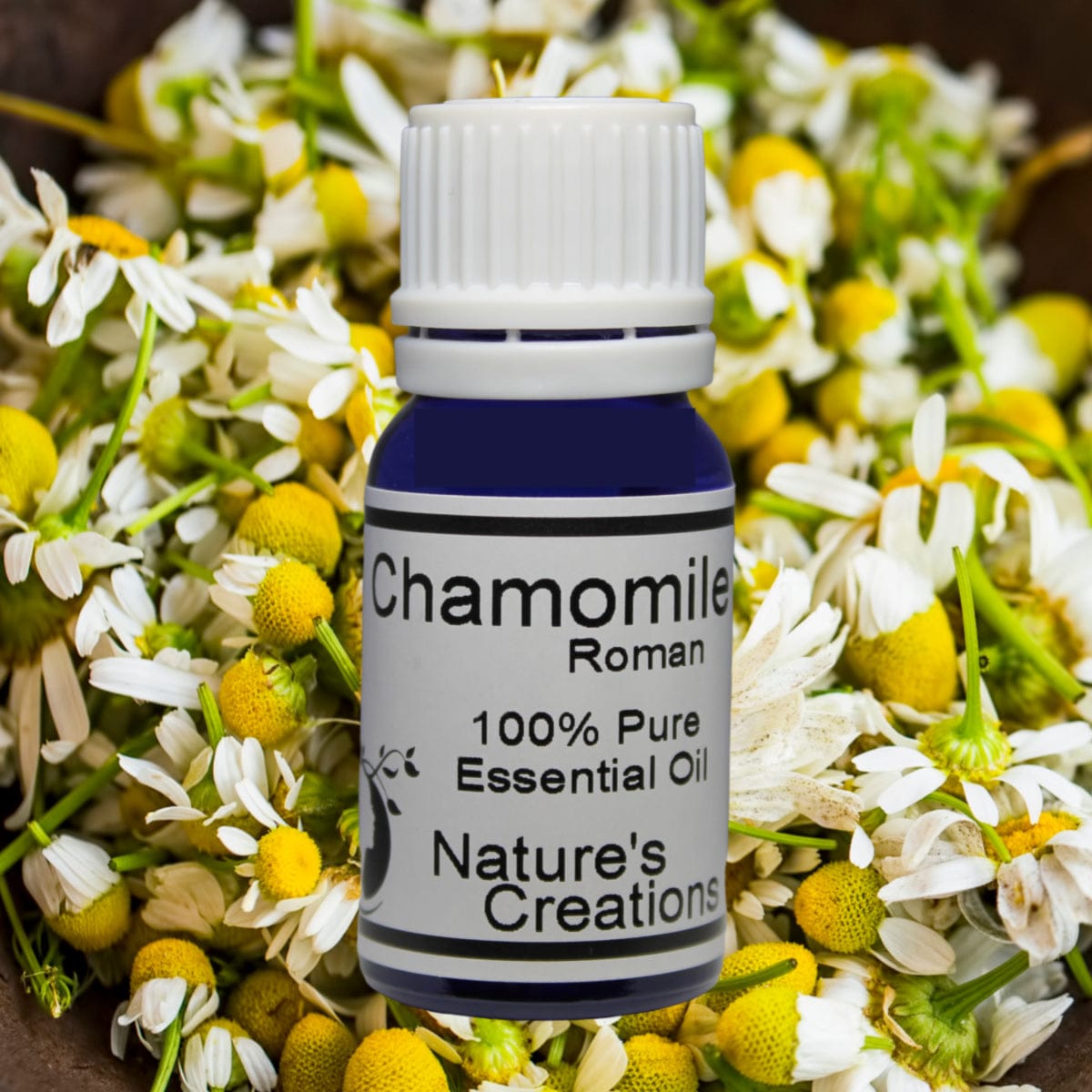 Chamomile Roman Essential Oil - - Natural Beauty Skincare® - Nature's Creations - Shop Online