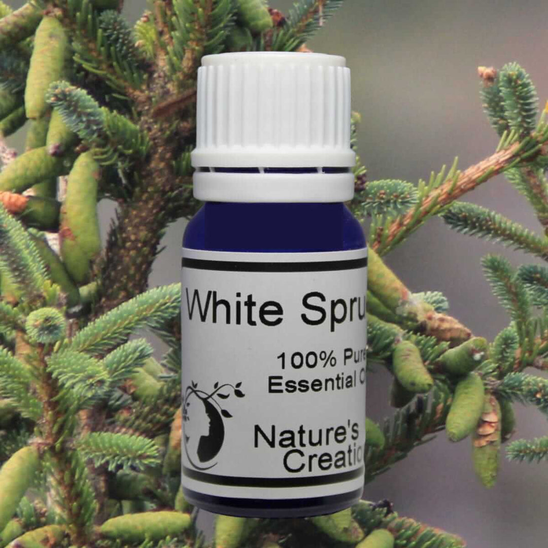 White Spruce - Natural Beauty Skincare® - Nature's Creations - Shop Online